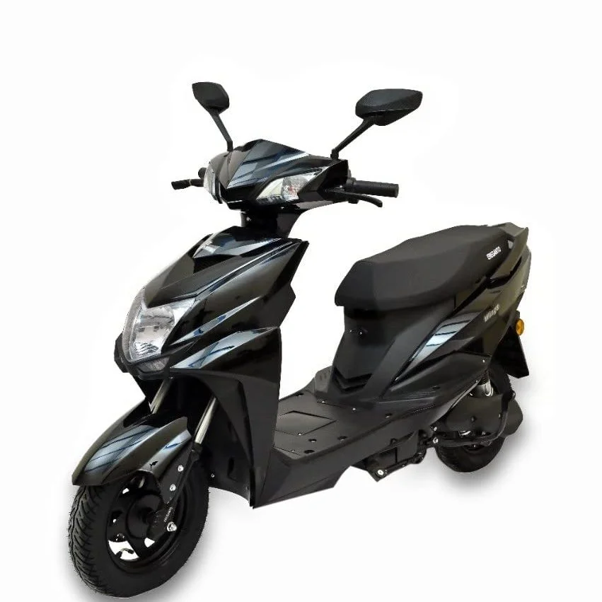 Electric scooter Ereganto E- Scooter