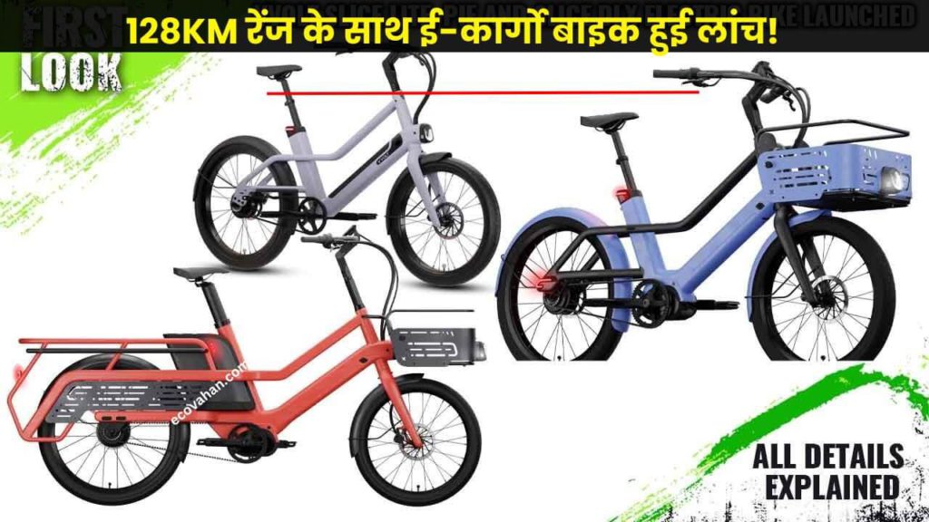 Electric scooter Vvolt Pie e-cargo Bike