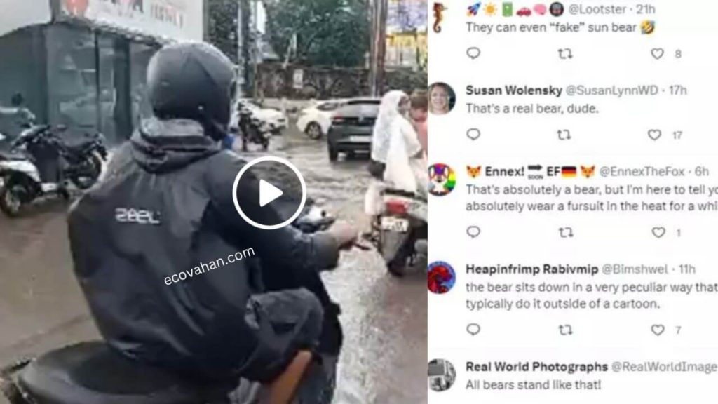 Jaldi Waha Se Hato Horn Viral Video Jaldi Waha Se Hato Horn Viral Video