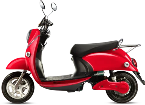 Evolet Pony Evolet Pony